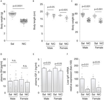 Prenatal Nicotine Exposure Induces Low Birthweight and Hyperinsulinemia in Male Rats